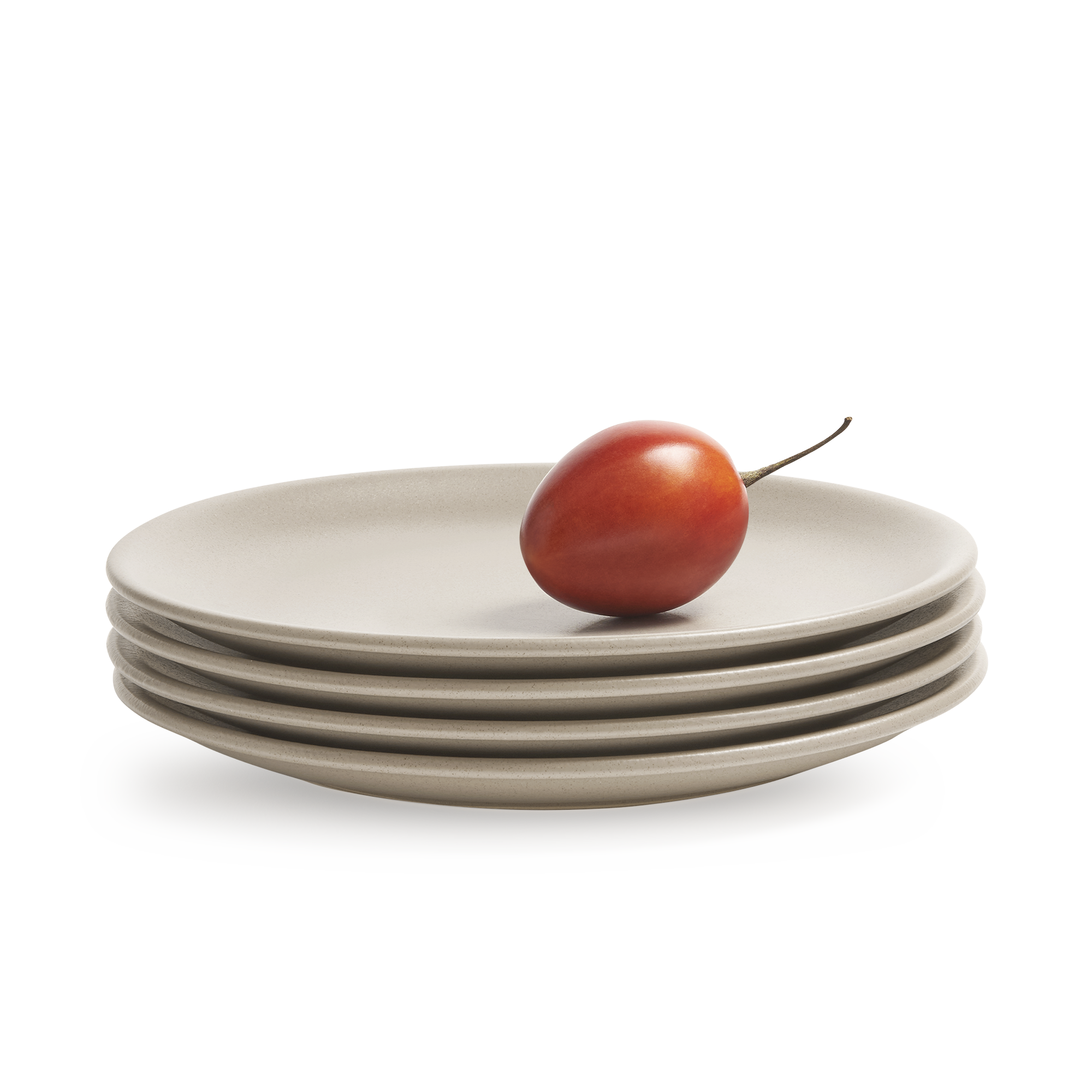 4 Piece Large Beige Stoneware Ceramic Dinner Dining Plates